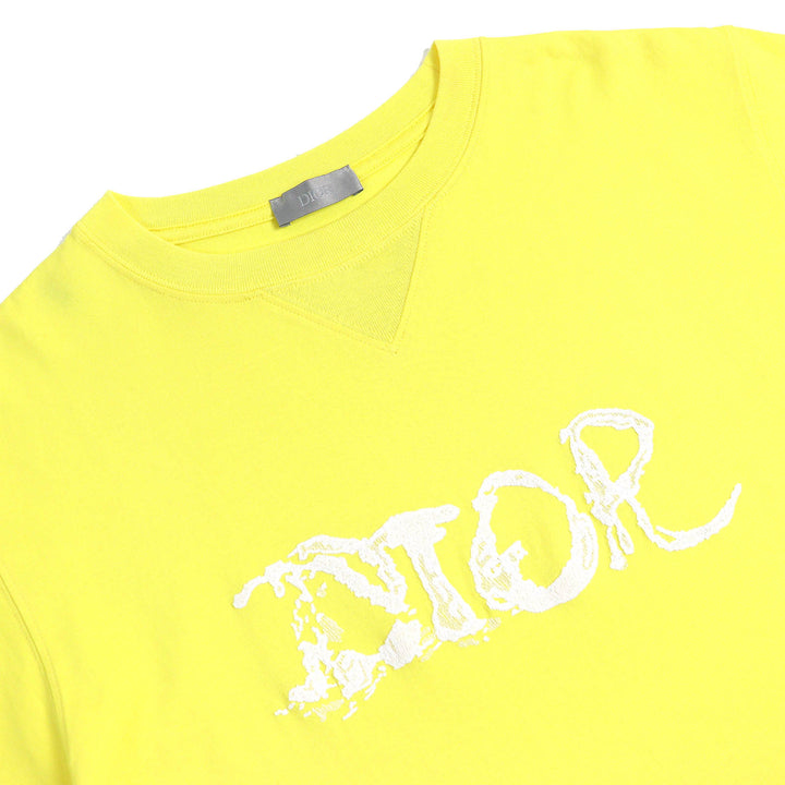 美品△DIOR Peter Doig ディオールオム ピーター・ドイグ 22AW 143J685C0677 コットン100% ロゴエンブロイダリー 半袖Ｔシャツ XS 正規品
