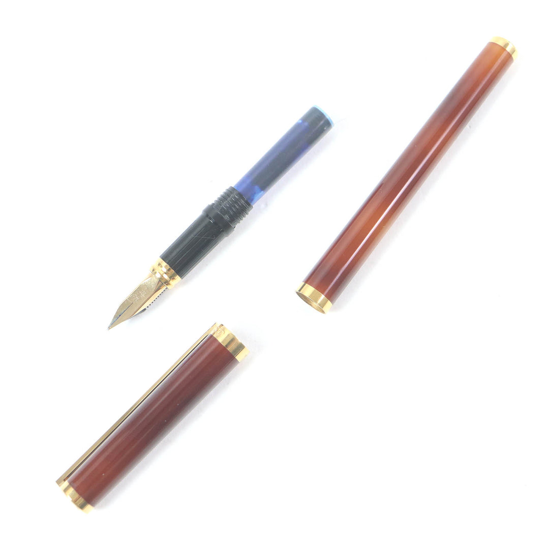 美品□Dupont デュポン モンパルナス ペン先18K Fニブ キャップ式 万年筆 ブラウンマーブル ゴールド ケース付き フランス製 メンズ