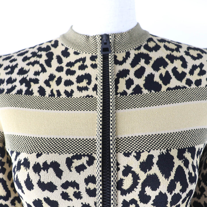 極美品☆Christian Dior クリスチャンディオール 21AW 144R03AM530 レオパード柄 長袖 ハーフZIP ニット ワンピース ブラウン 40 正規品