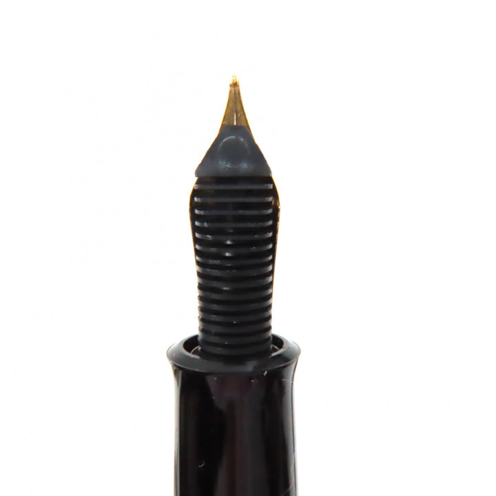 極美品▼PERIKAN ペリカン M200 クラシック EFニブ ロゴ刻印入り 万年筆 ブラック マーブルグリーン ゴールド 箱付き ドイツ製 メンズ