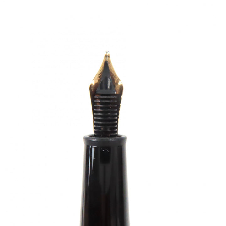 極美品▼MONTBLANC モンブラン マイスターシュテュック pix 145 クラシック ペン先14K Mニブ ホワイトスター 万年筆 ブラック ゴールド