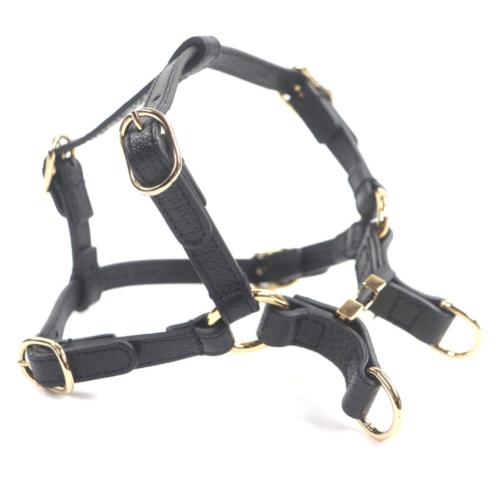極美品▼GUCCI グッチ 692963 レザー インターロッキングG 犬用 胴輪 ハーネス ブラック ゴールド金具 XS 箱・保存袋付き 伊製 メンズ