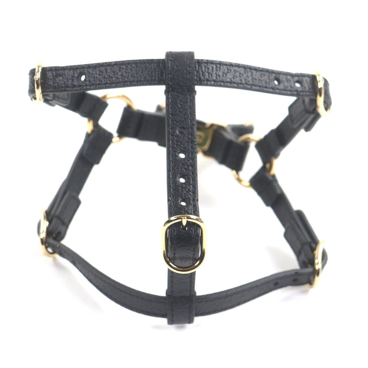 極美品▼GUCCI グッチ 692963 レザー インターロッキングG 犬用 胴輪 ハーネス ブラック ゴールド金具 XS 箱・保存袋付き 伊製 メンズ