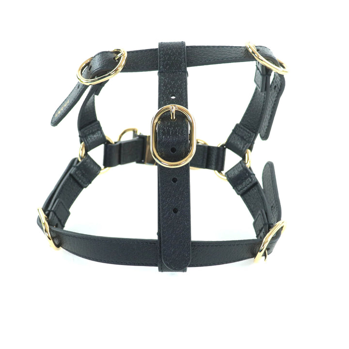 未使用品★GUCCI グッチ 692963 レザー インターロッキングG 犬用 胴輪 ハーネス ブラック ゴールド金具 S 箱・保存袋付き イタリア製
