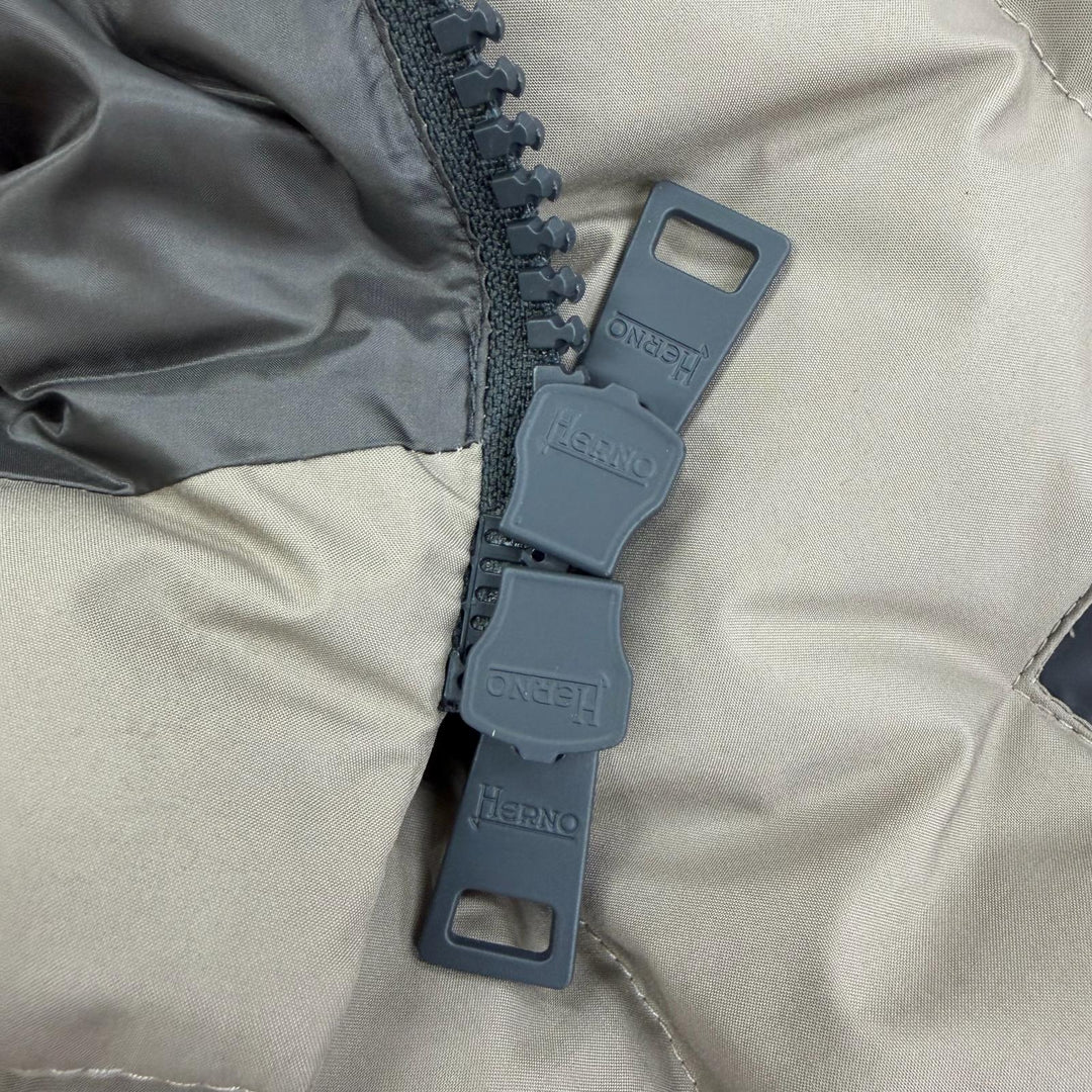 美品☆Herno ヘルノ 2023年製 PI079DL ラミナー GORE-TEX フード付 ZIP UP ダウンジャケット ダウンコート ベージュ系 46 正規品