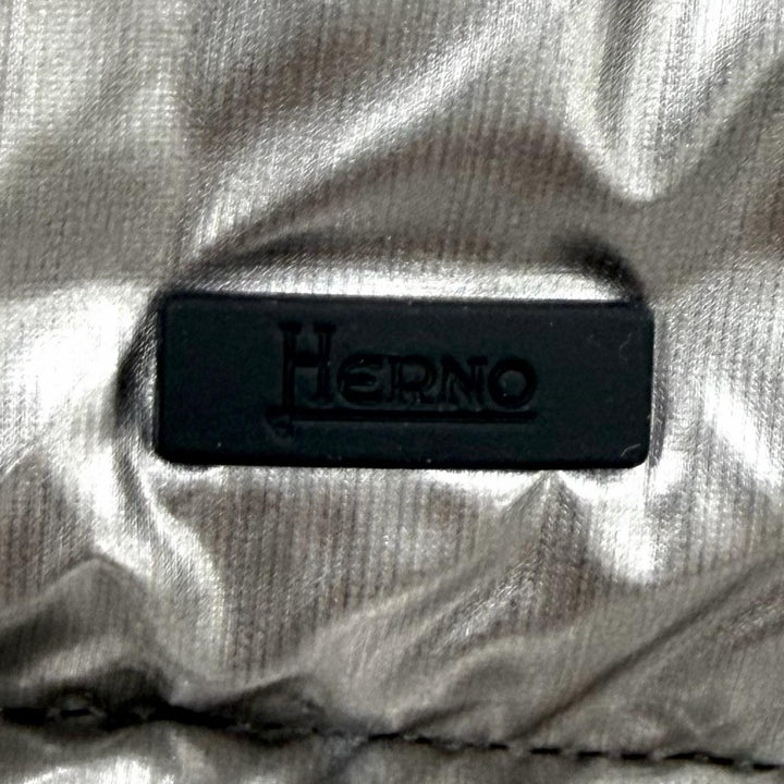 極美品★Herno ヘルノ PI086DL Laminar ラミナー ロゴZIP スタンドカラー ダウンジャケット アウター シルバー 40 正規品 レディース