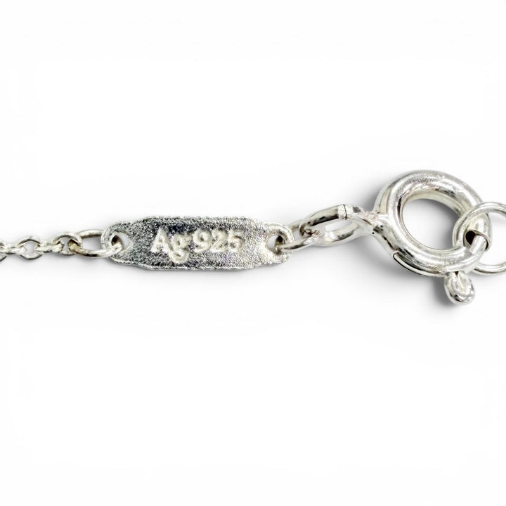 極美品△TIFFANY&amp;Co. ティファニー リターン トゥ ティファニー ミニ ダブル ハートタグ ペンダント ネックレス AG925 レッド 重量3.3g