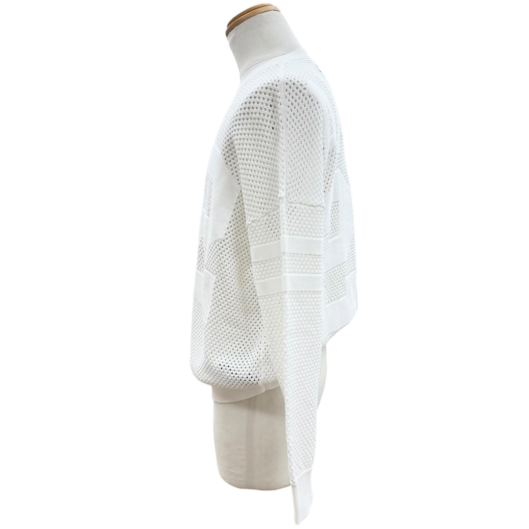 未使用品▼AMIRI アミリ SRAMKNCW1040SMREGY0 Tiger Mesh Graphic Crewneck Sweatshirt コットン ニット ホワイト S 伊製 正規品 メンズ