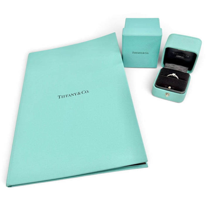 極美△TIFFANY&amp;Co. ティファニー ソリティア チャネルセッティング リング ダイヤモンド PT950 D0.28tc/E/VVS2/3EX プラチナ JP9号 2.7g