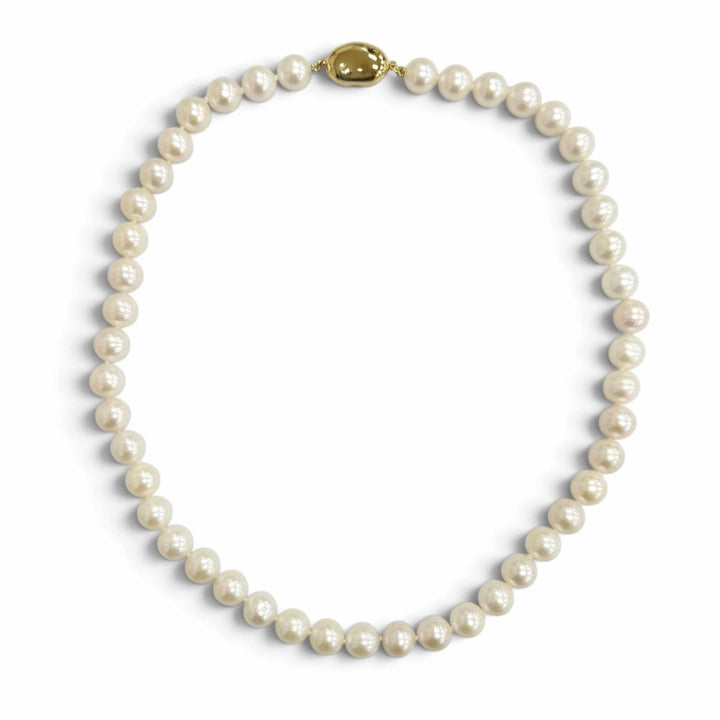 極美品△Bijou de M ビジュードエム マダムパールネックレス アクセサリー ホワイト系 ゴールド金具 レディース 定価111100円 箱・袋付き