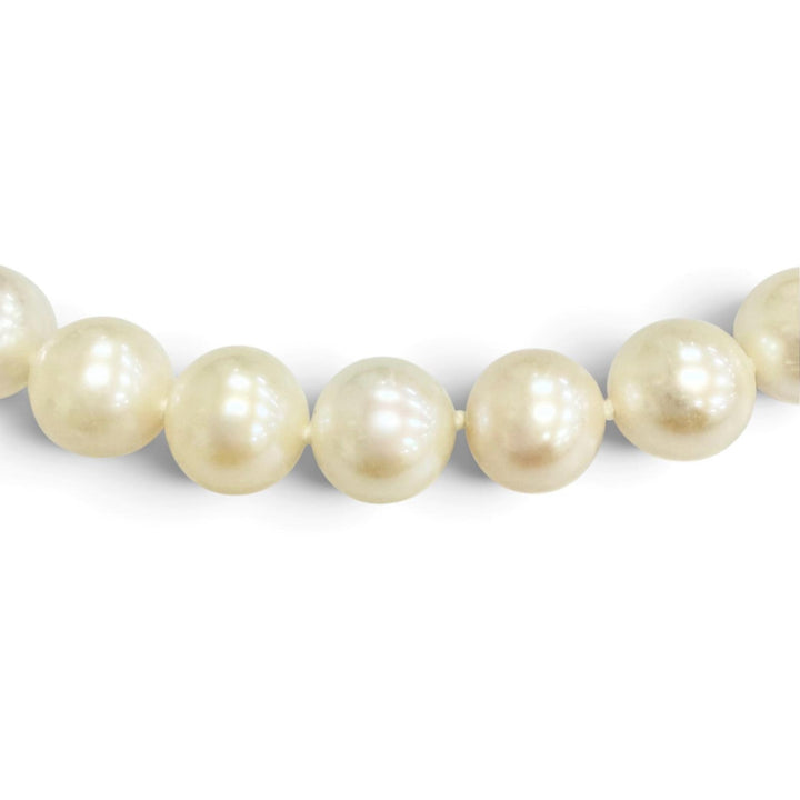 極美品△Bijou de M ビジュードエム マダムパールネックレス アクセサリー ホワイト系 ゴールド金具 レディース 定価111100円 箱・袋付き