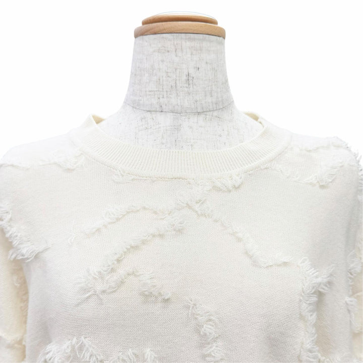 極美品△Christian Dior クリスチャンディオール 014S55AM034 カシミヤ100％ ロゴ ミニフリンジ 長袖 ニット アイボリー IT 40 正規品