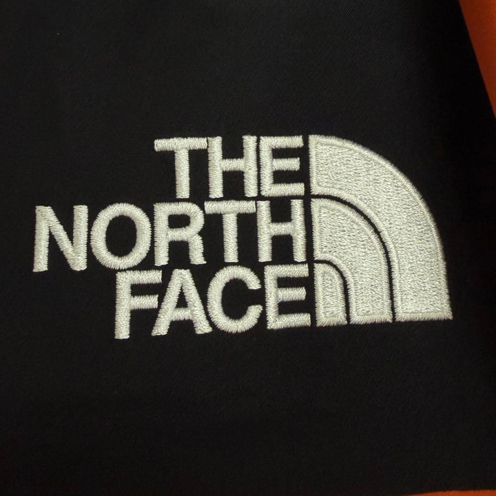 極美品□THE NORTH FACE ザ・ノースフェイス NP61800 Mountain Jacket GORE-TEX ナイロンジャケット オレンジ S ベトナム製 正規品